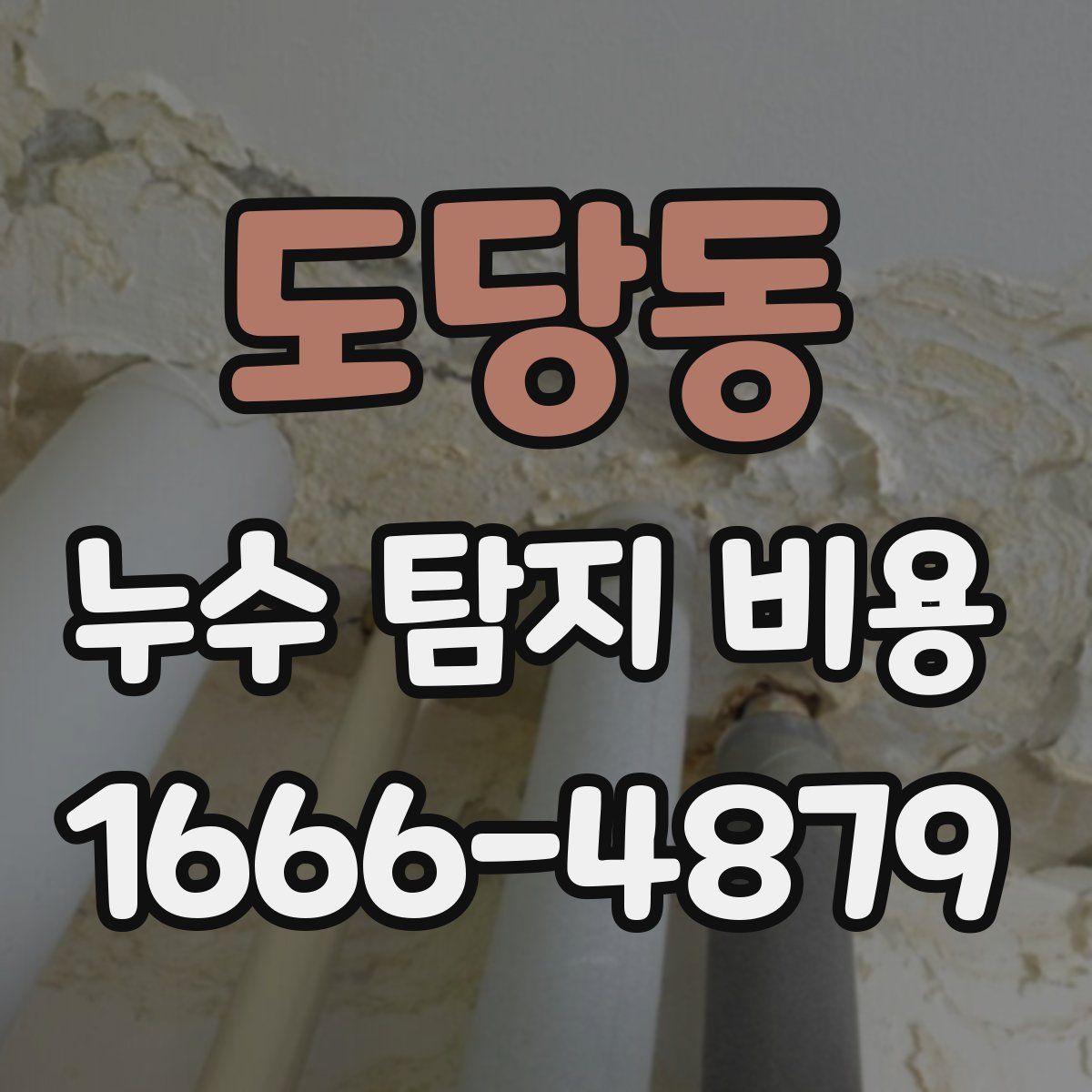 도당동 누수 탐지 비용