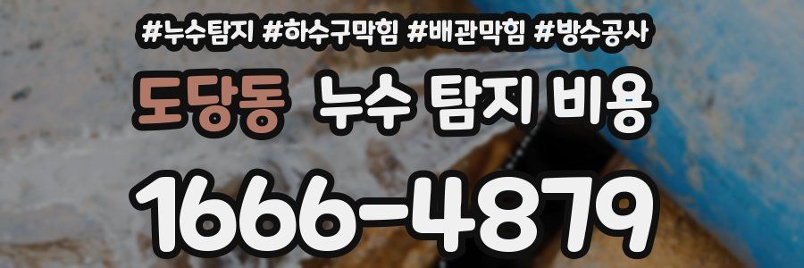 도당동 누수 탐지 비용