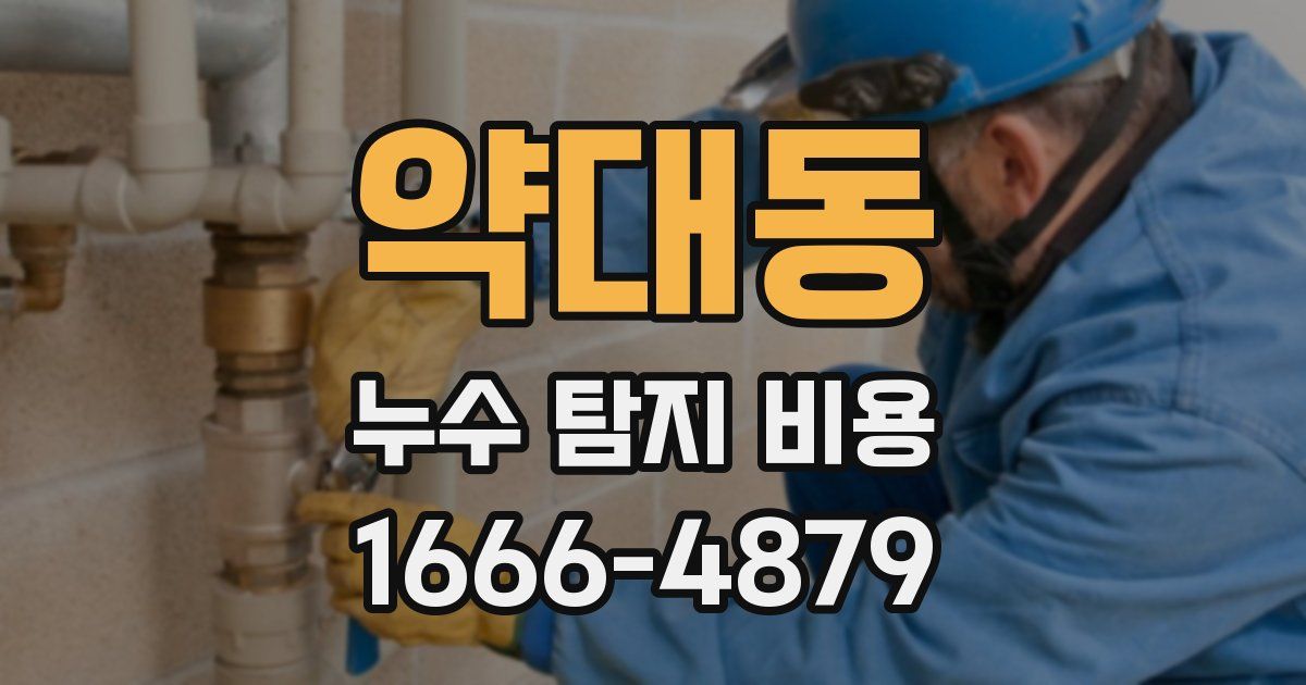 약대동 누수 탐지 비용