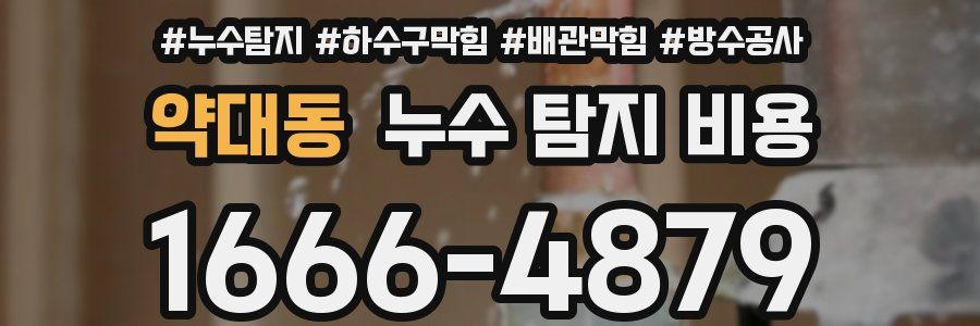 약대동 누수 탐지 비용