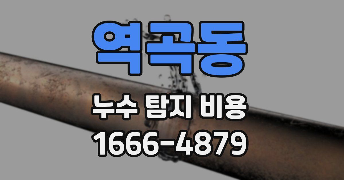 역곡동 누수 탐지 비용