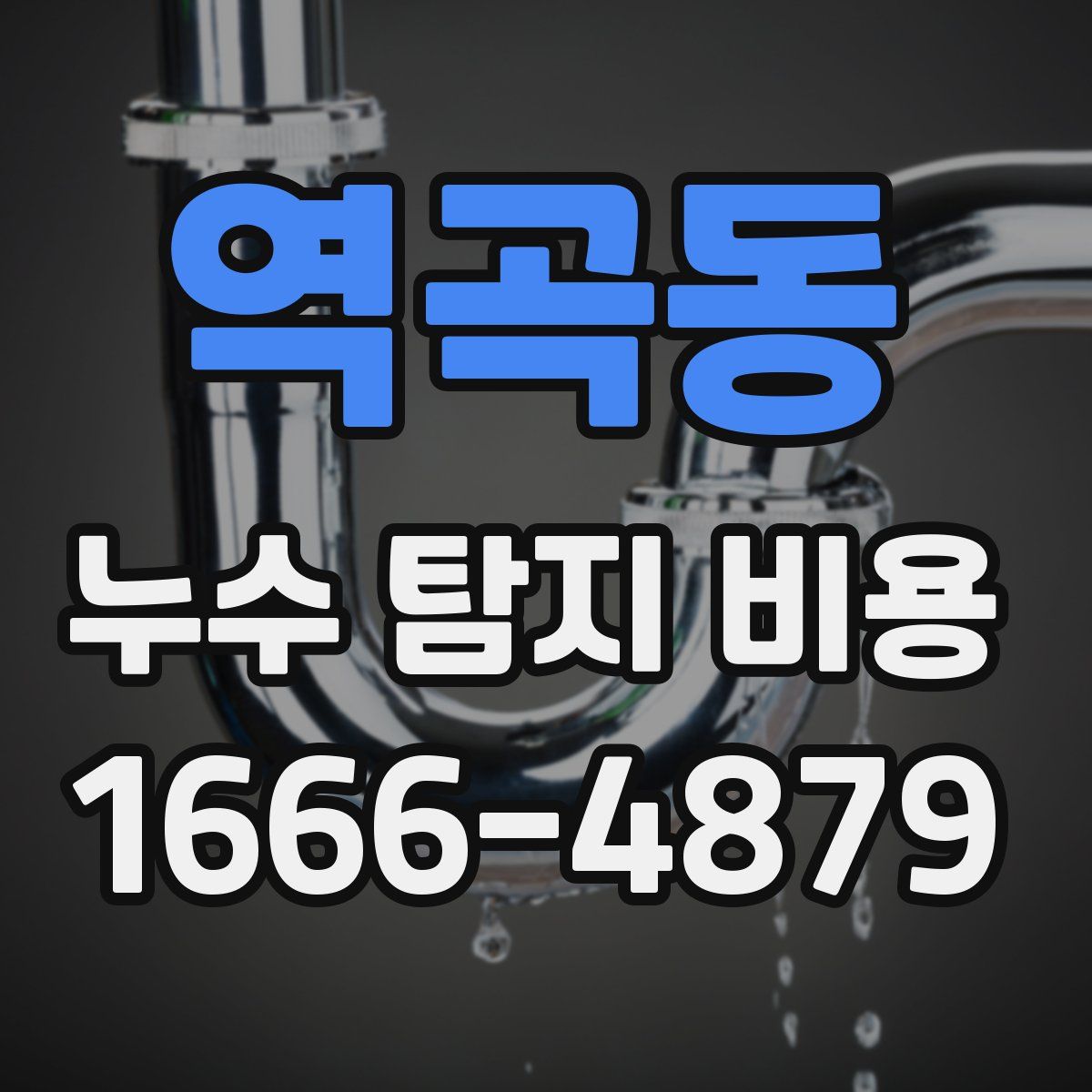역곡동 누수 탐지 비용