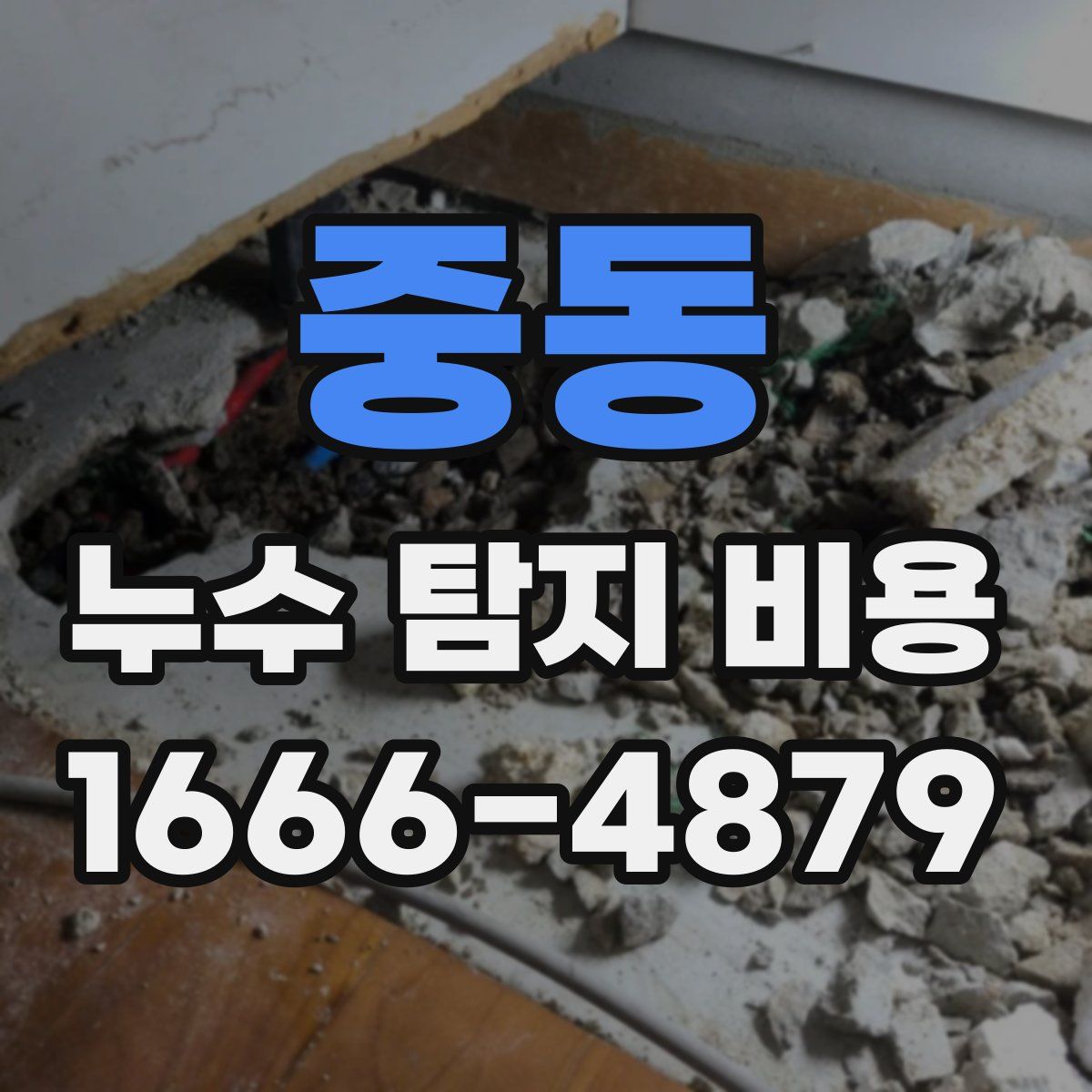 중동 누수 탐지 비용