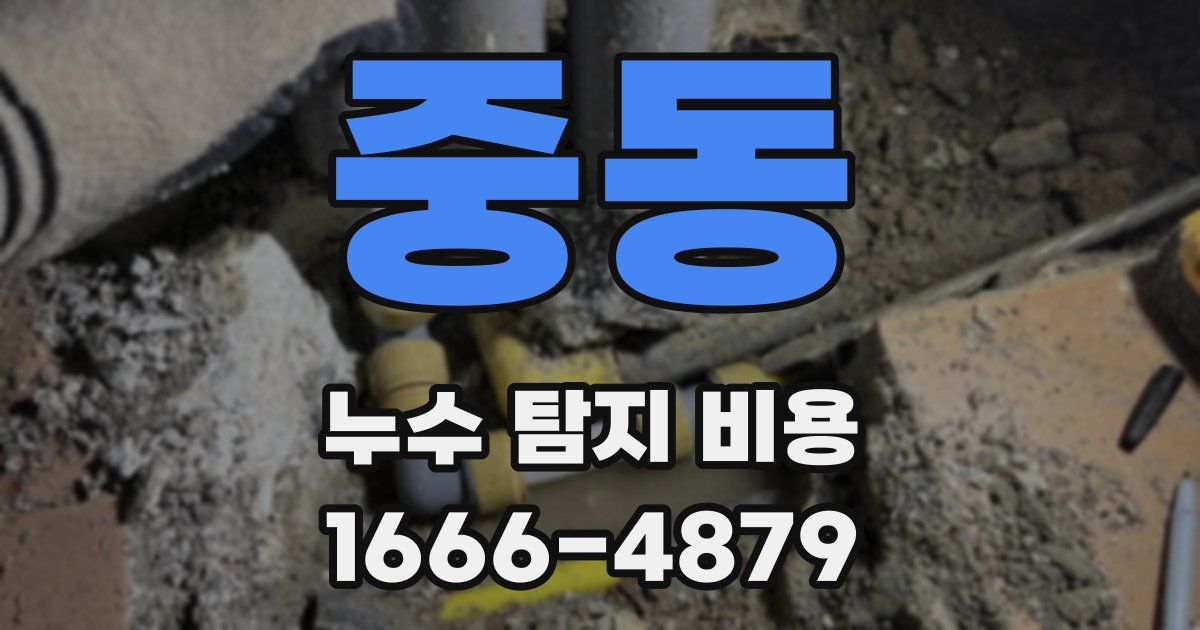중동 누수 탐지 비용