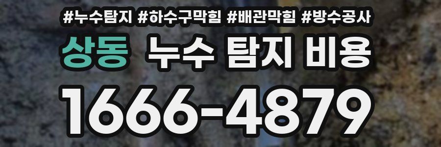 상동 누수 탐지 비용
