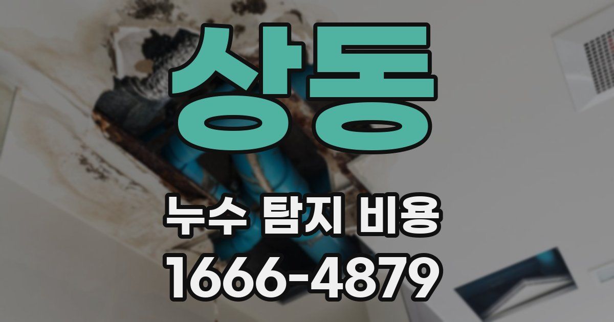 상동 누수 탐지 비용