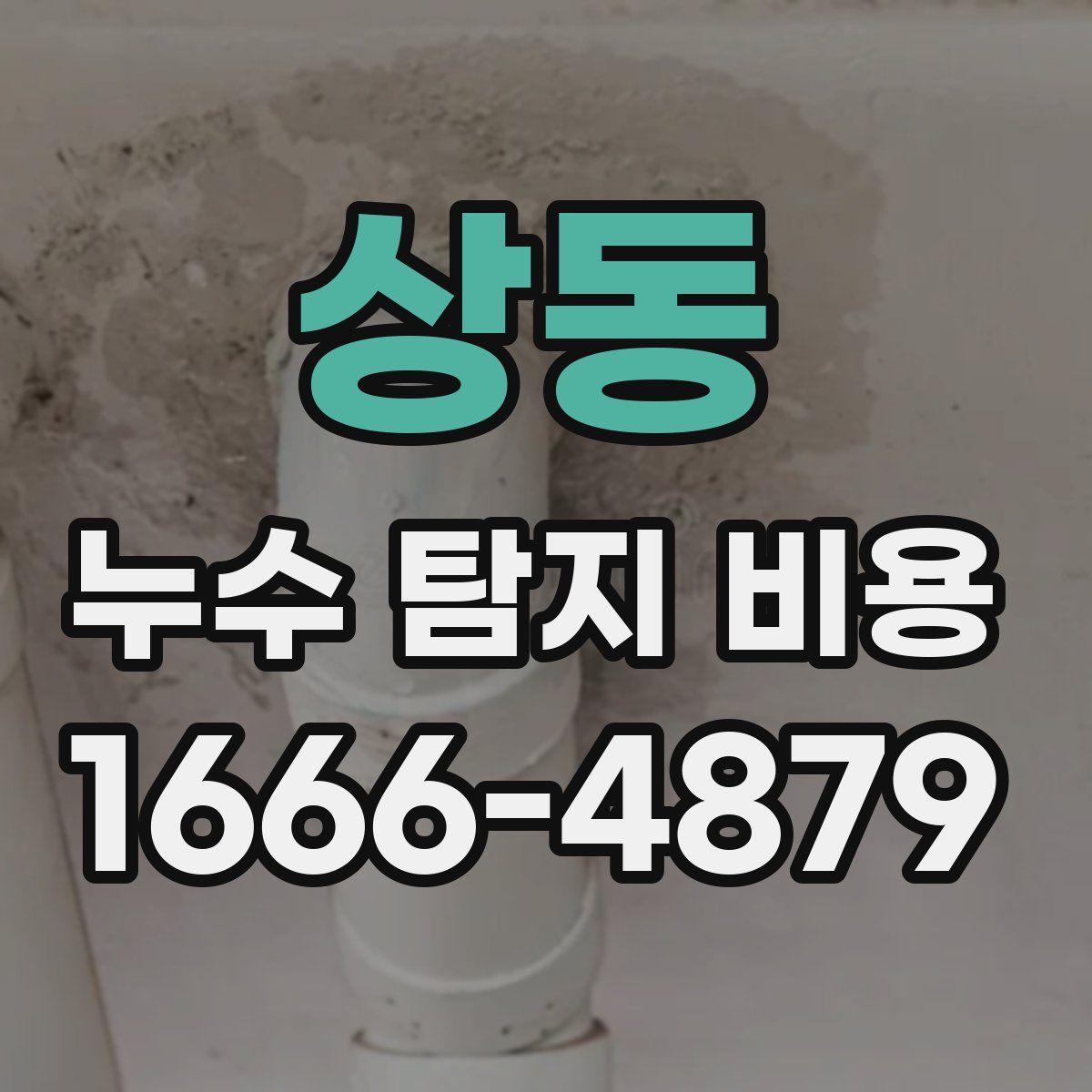 상동 누수 탐지 비용