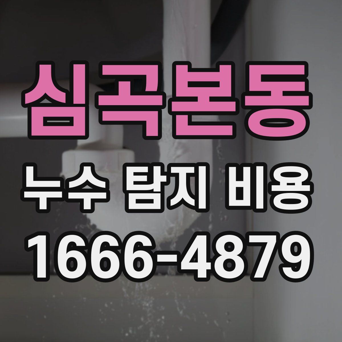 심곡본동 누수 탐지 비용
