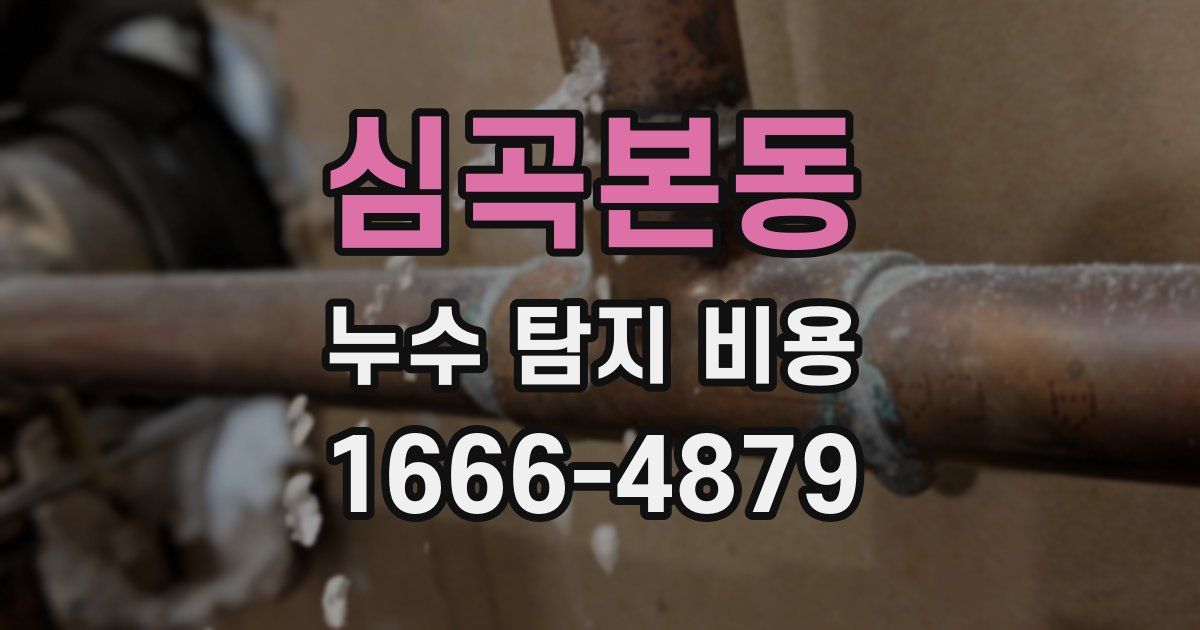 심곡본동 누수 탐지 비용