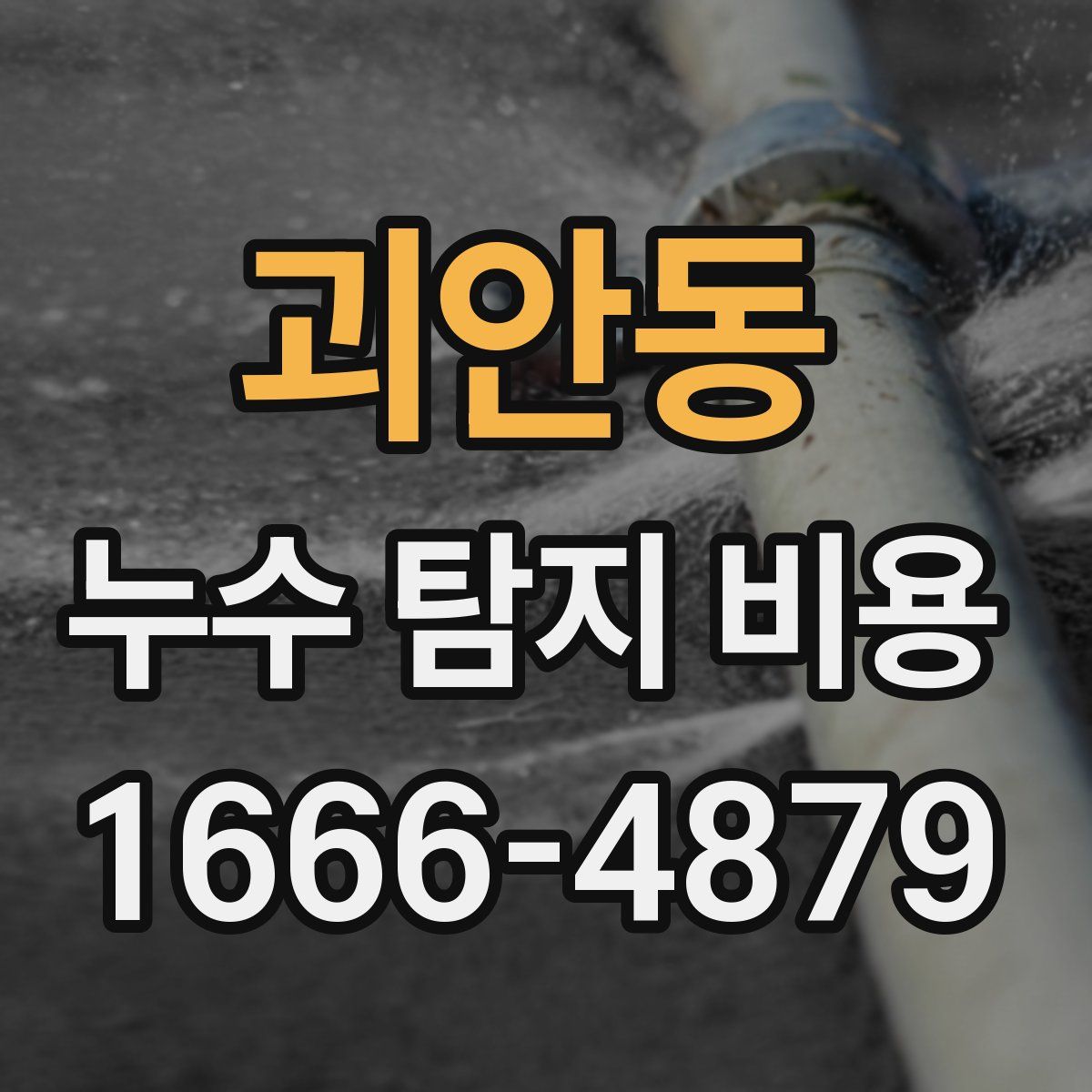 괴안동 누수 탐지 비용