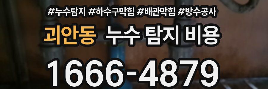 괴안동 누수 탐지 비용