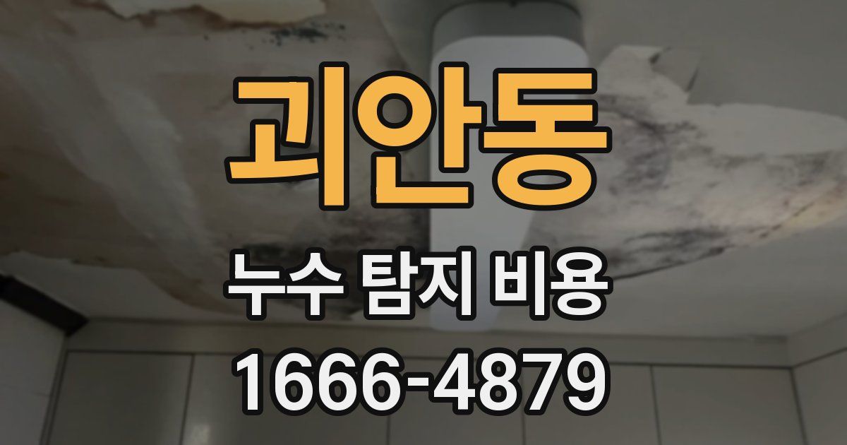 괴안동 누수 탐지 비용