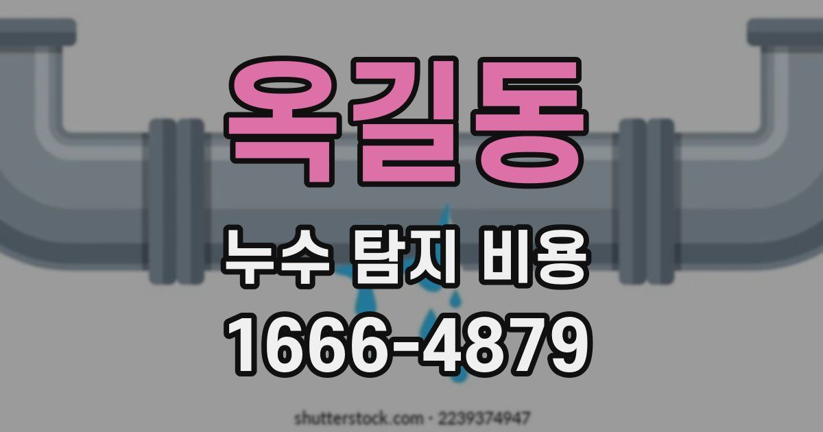 옥길동 누수 탐지 비용