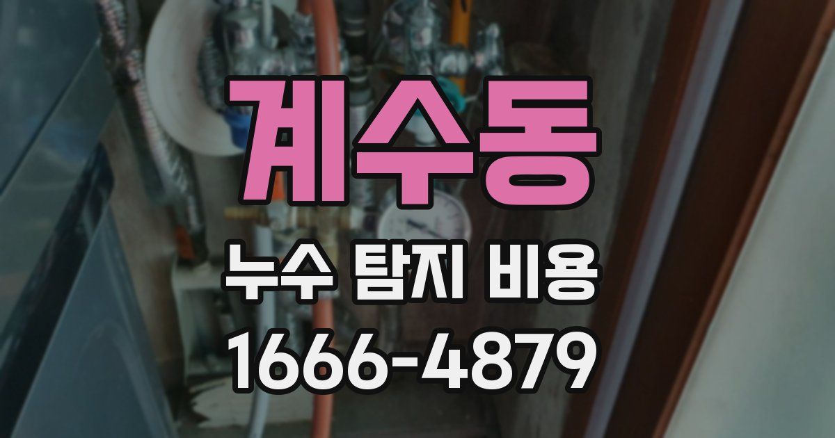 계수동 누수 탐지 비용