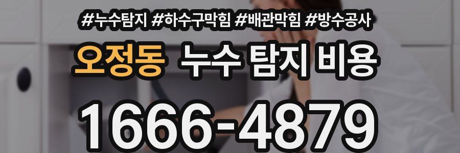 오정동 누수 탐지 비용