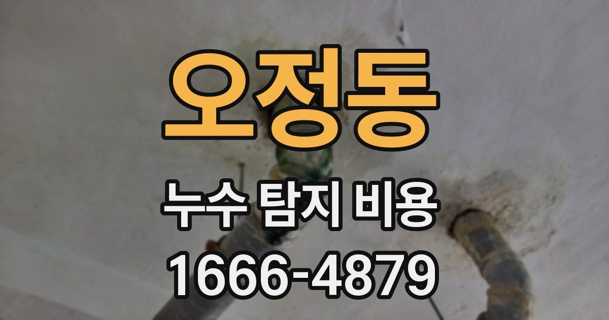 오정동 누수 탐지 비용