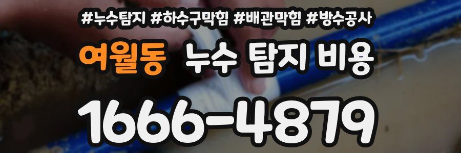 여월동 누수 탐지 비용