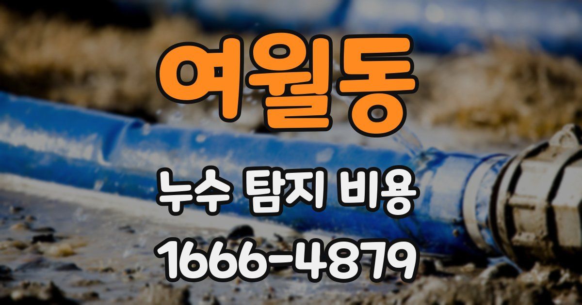 여월동 누수 탐지 비용