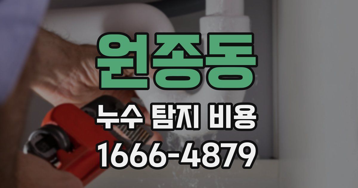 원종동 누수 탐지 비용