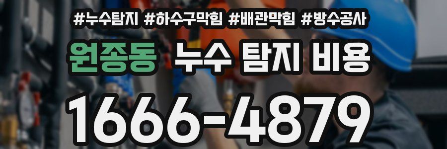 원종동 누수 탐지 비용