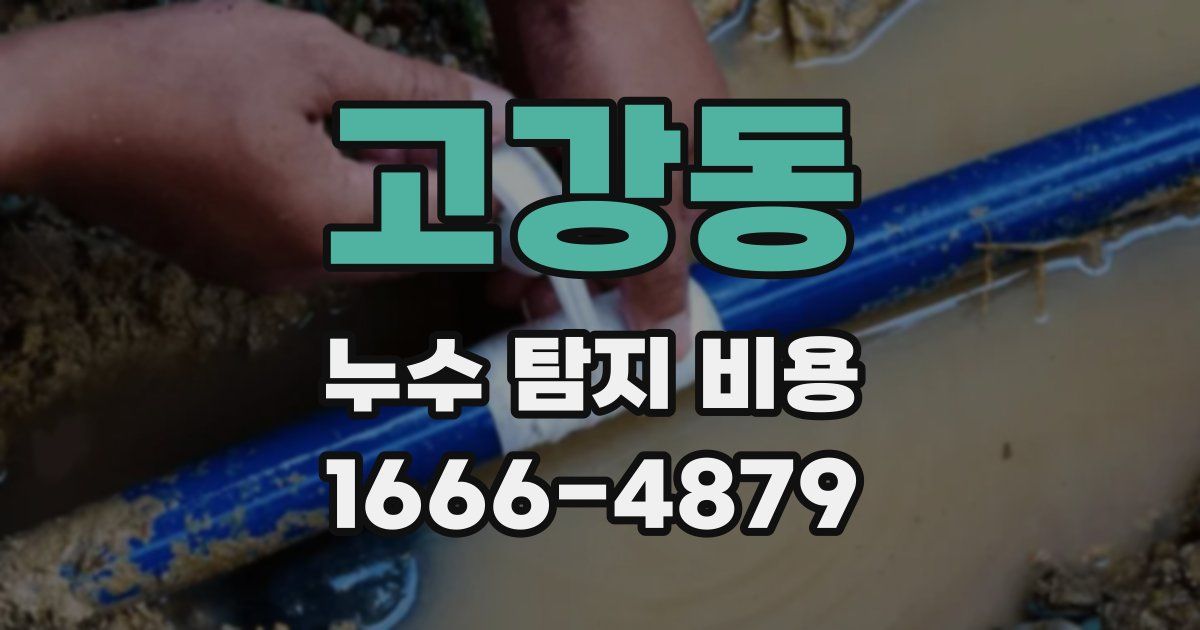 고강동 누수 탐지 비용