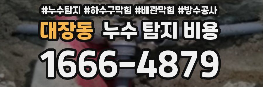 대장동 누수 탐지 비용