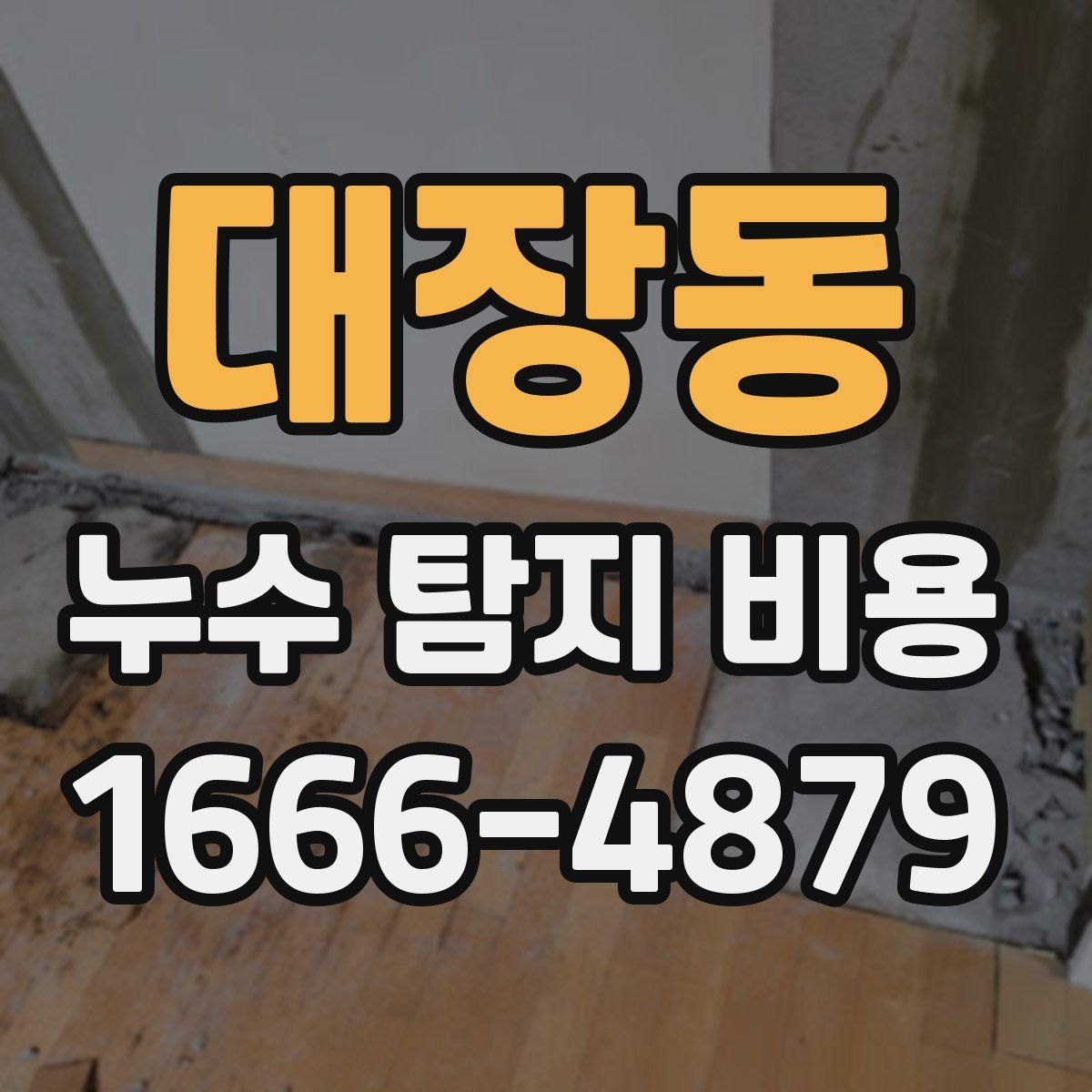 대장동 누수 탐지 비용