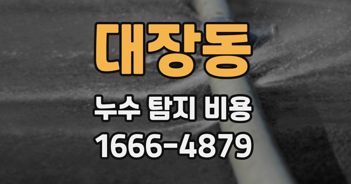 대장동 누수 탐지 비용