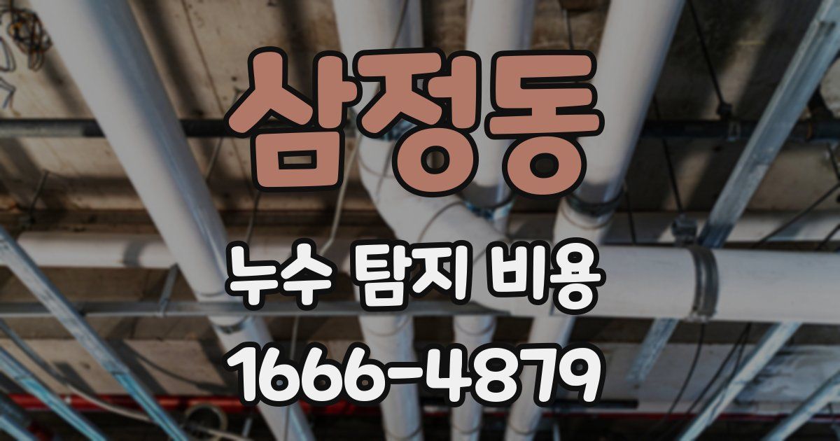 삼정동 누수 탐지 비용