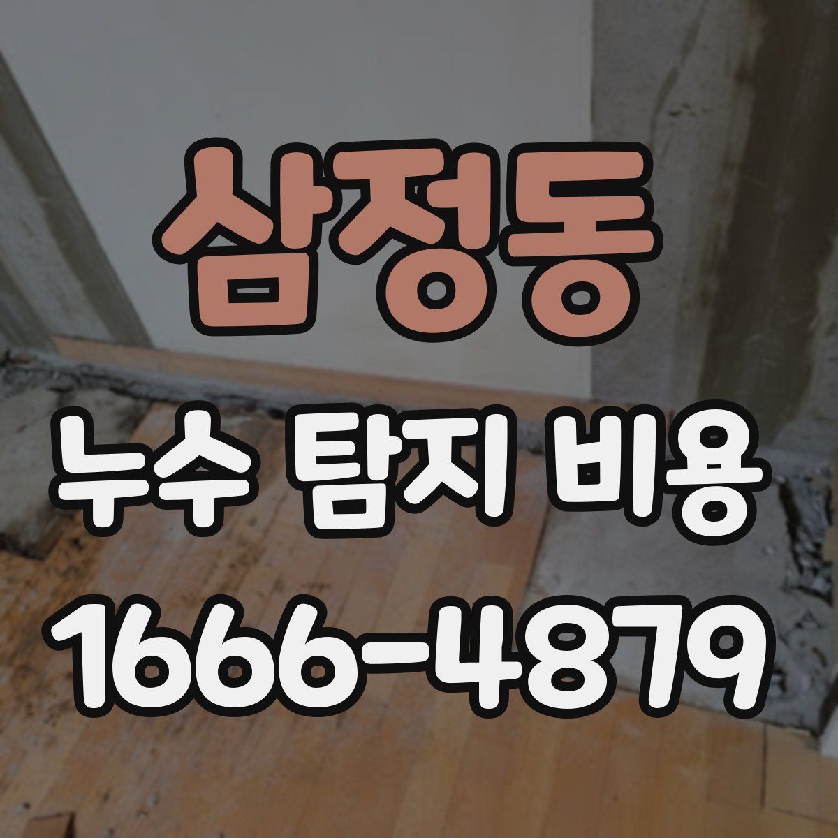 삼정동 누수 탐지 비용