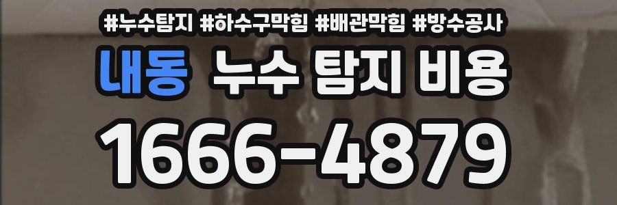 내동 누수 탐지 비용