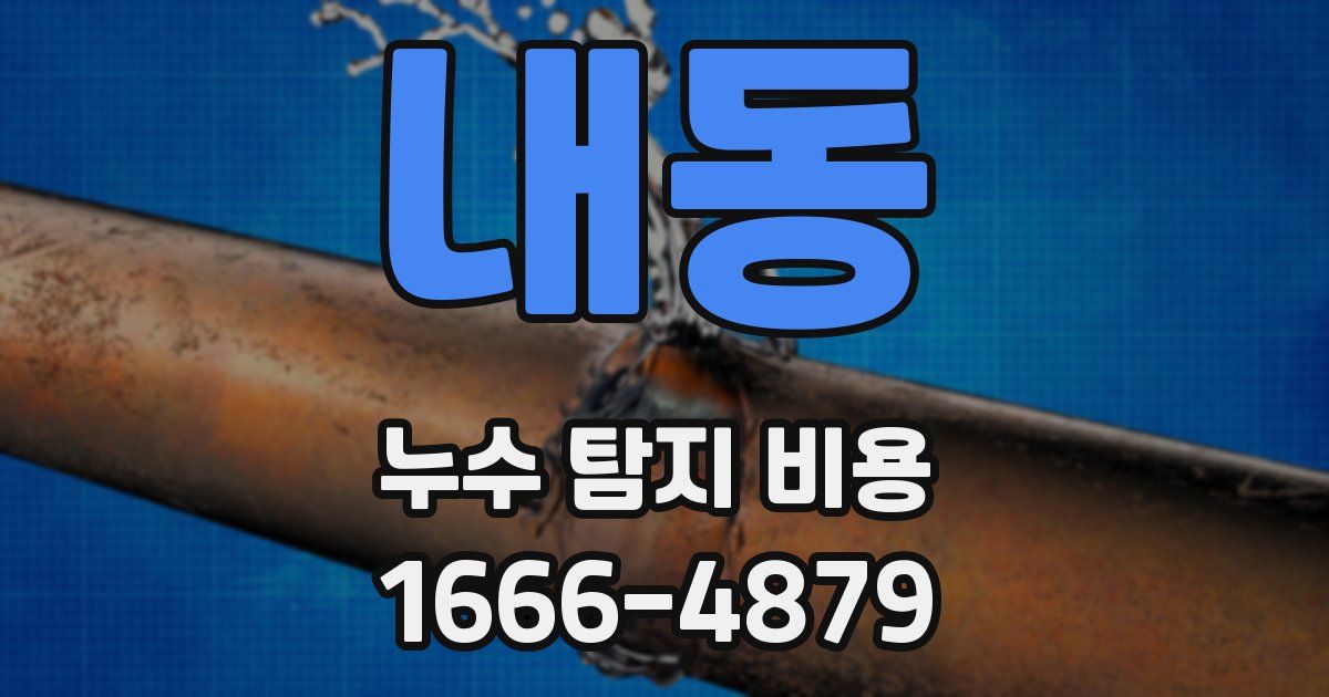 내동 누수 탐지 비용