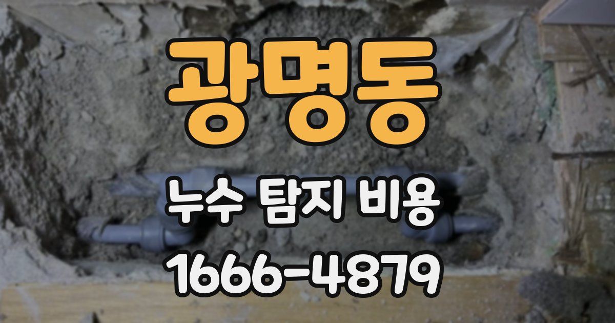 광명동 누수 탐지 비용