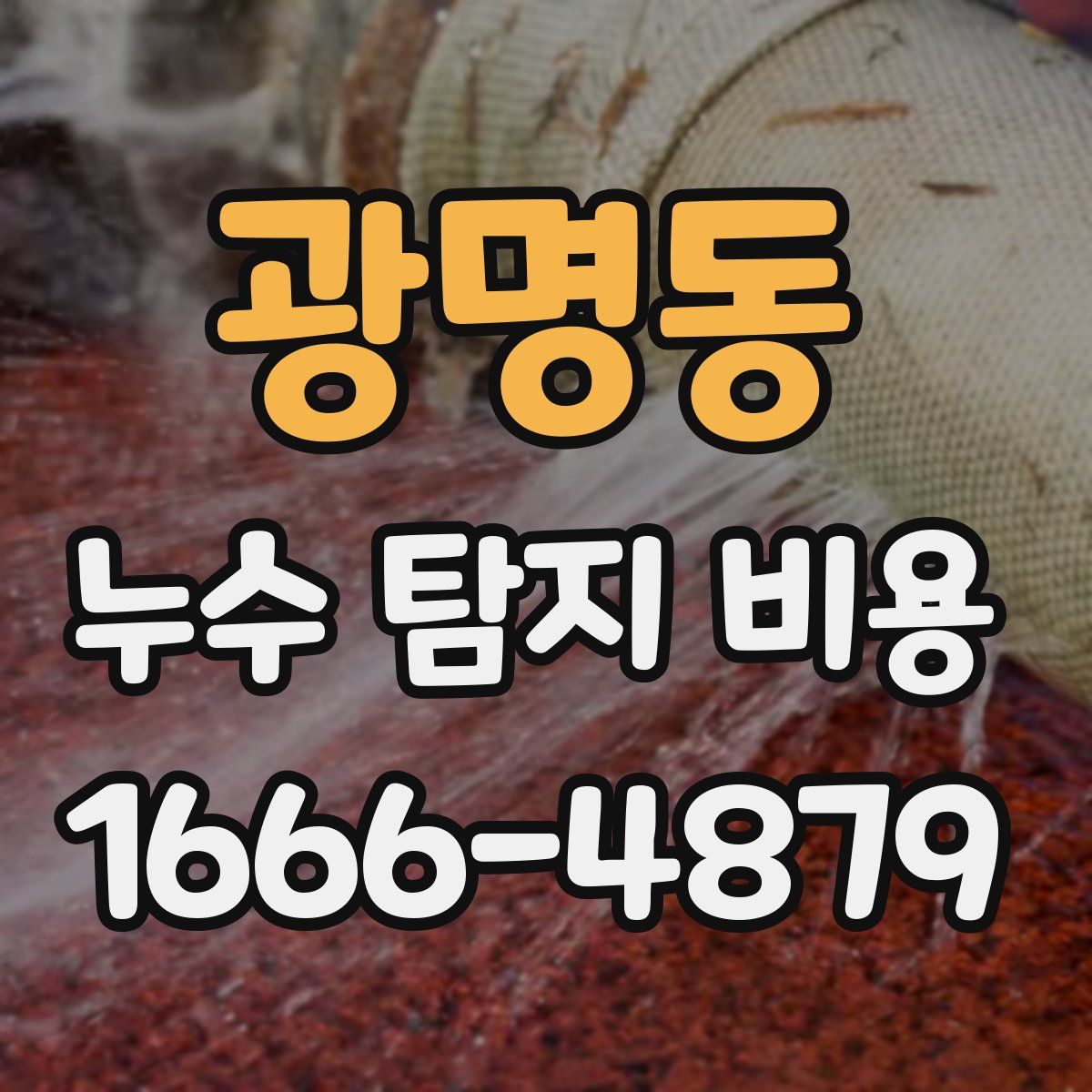 광명동 누수 탐지 비용