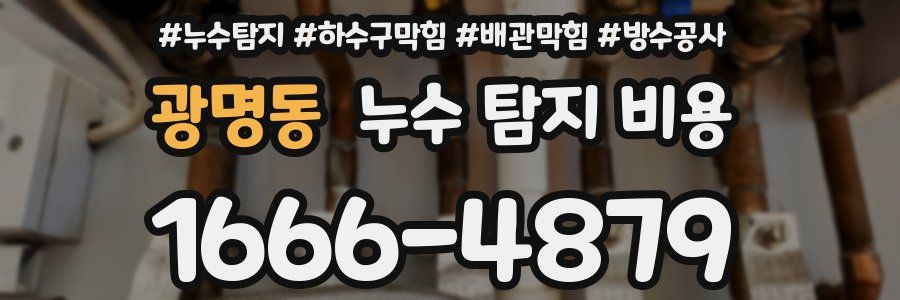광명동 누수 탐지 비용