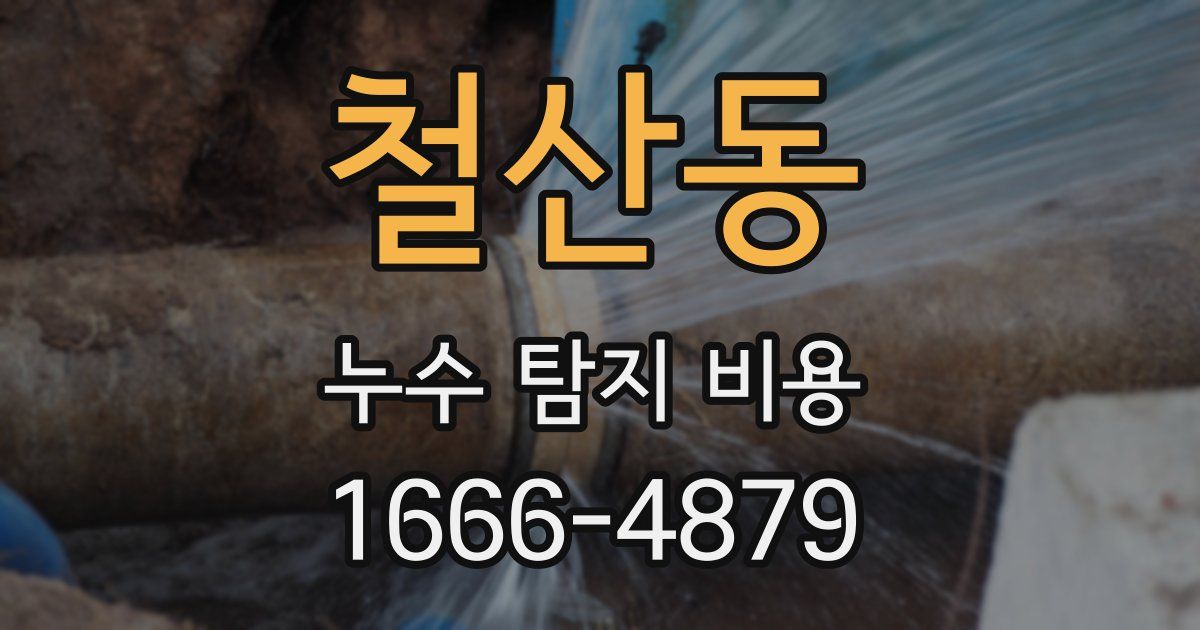 철산동 누수 탐지 비용