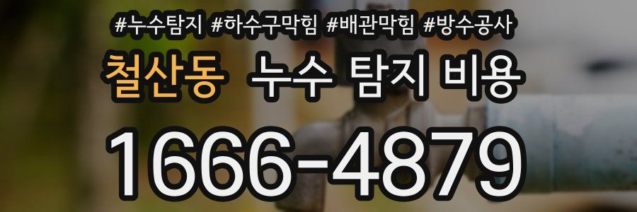 철산동 누수 탐지 비용