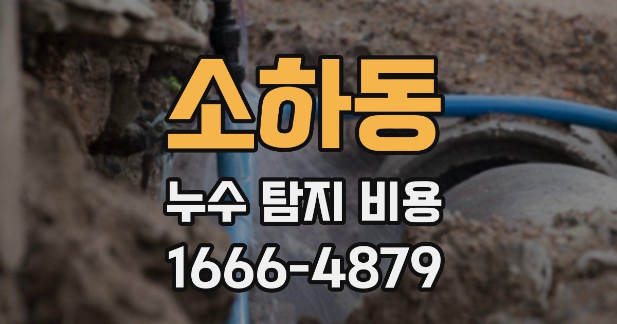 소하동 누수 탐지 비용