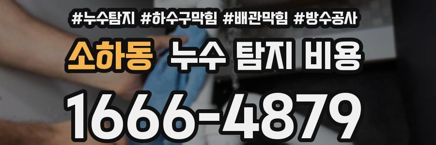 소하동 누수 탐지 비용