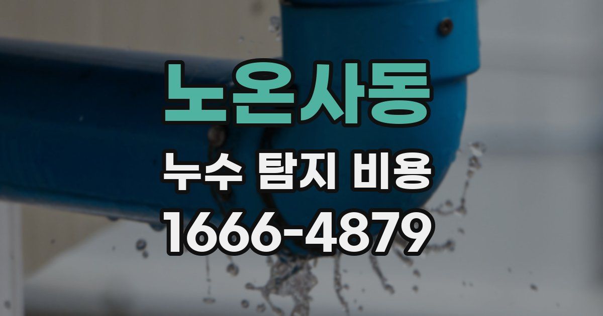 노온사동 누수 탐지 비용
