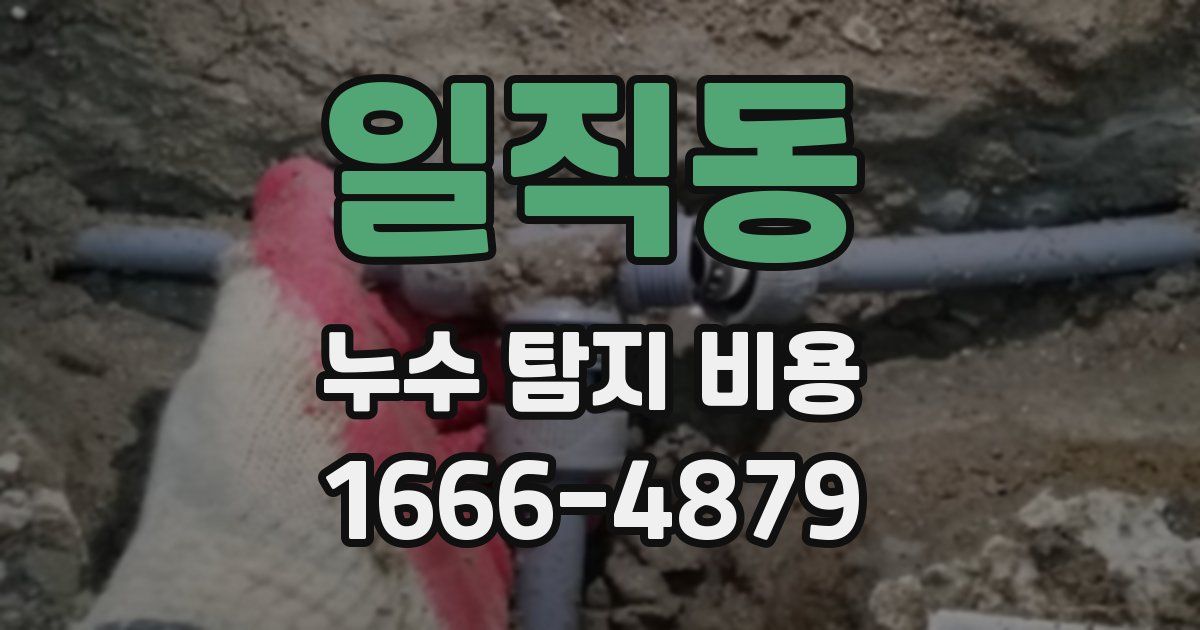 일직동 누수 탐지 비용