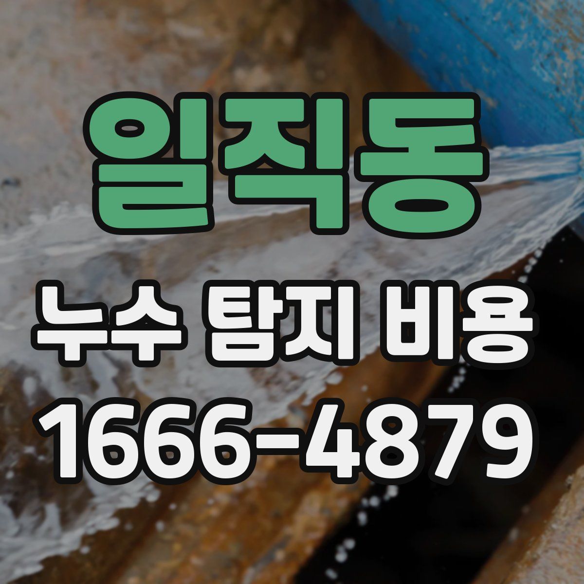 일직동 누수 탐지 비용