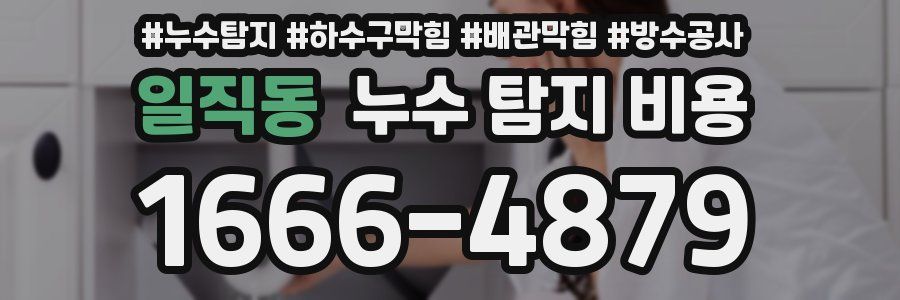 일직동 누수 탐지 비용