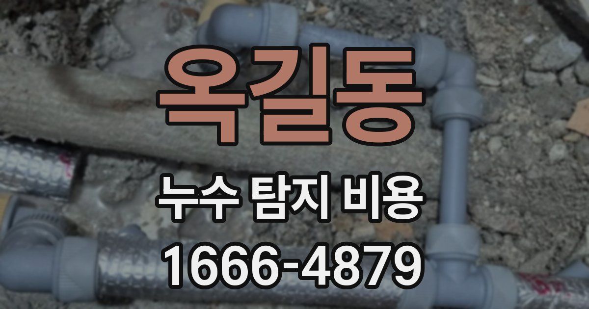 옥길동 누수 탐지 비용
