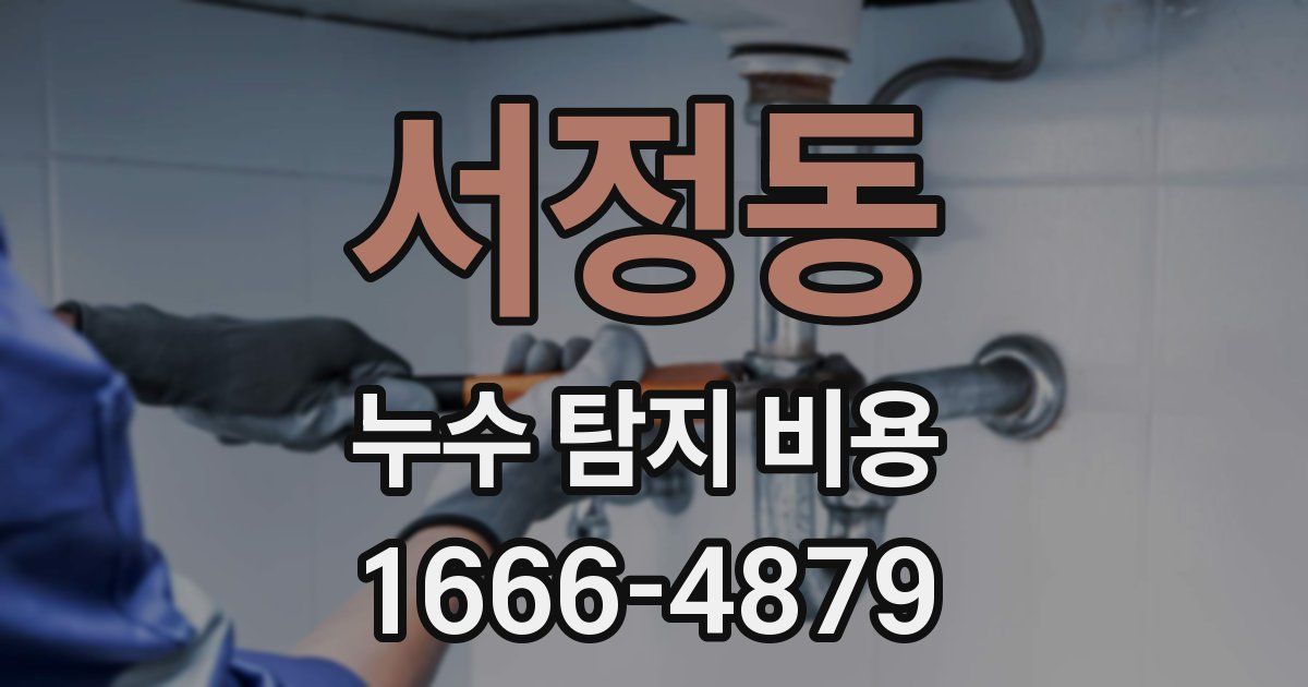 서정동 누수 탐지 비용