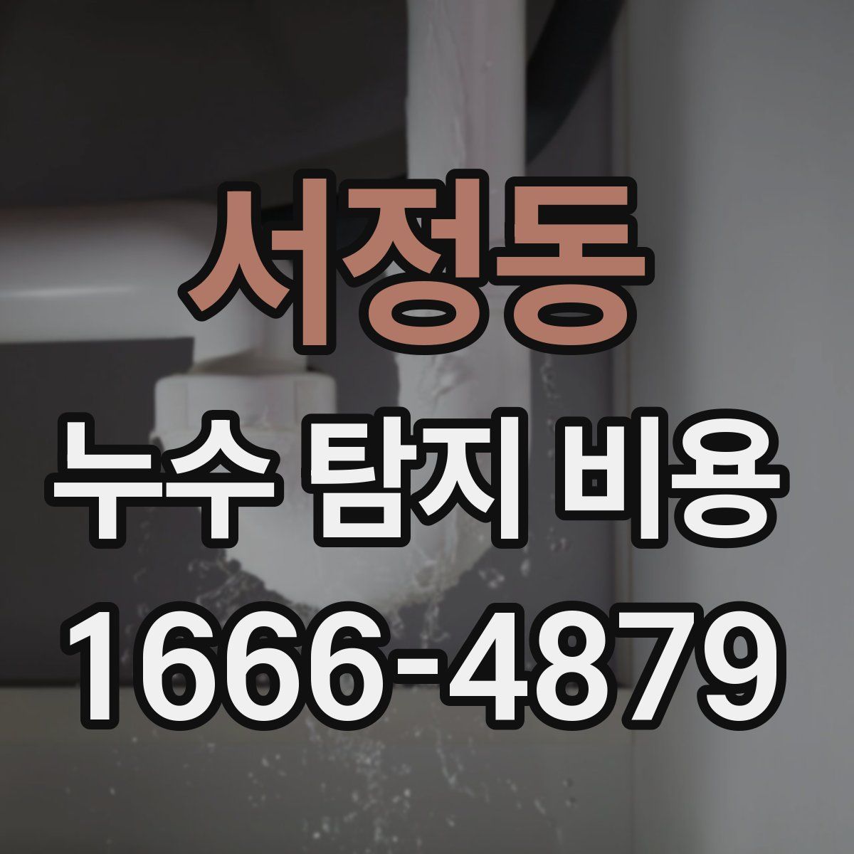 서정동 누수 탐지 비용
