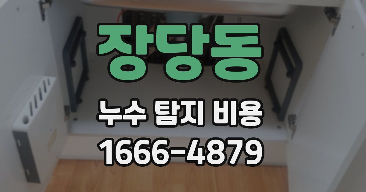 장당동 누수 탐지 비용