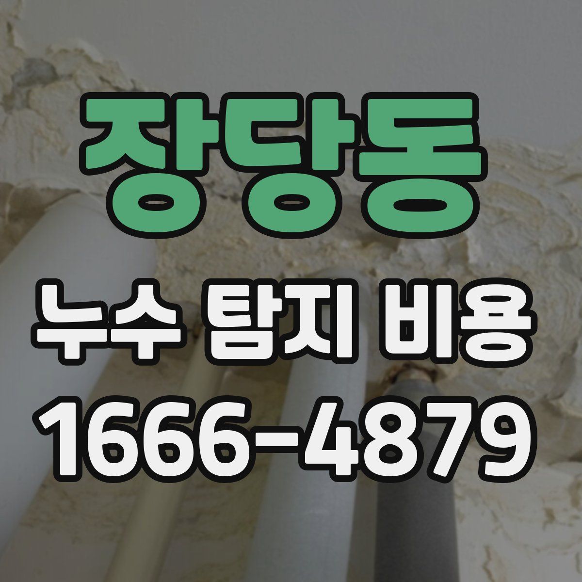 장당동 누수 탐지 비용