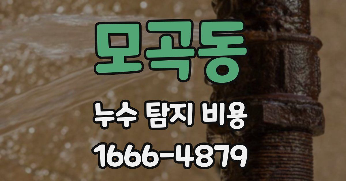 모곡동 누수 탐지 비용
