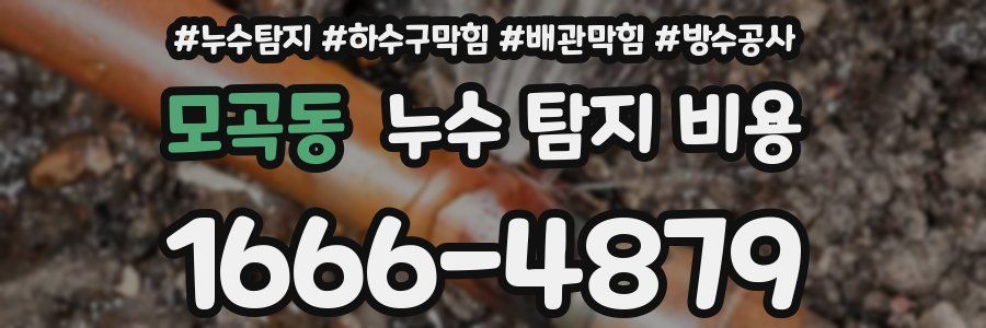모곡동 누수 탐지 비용